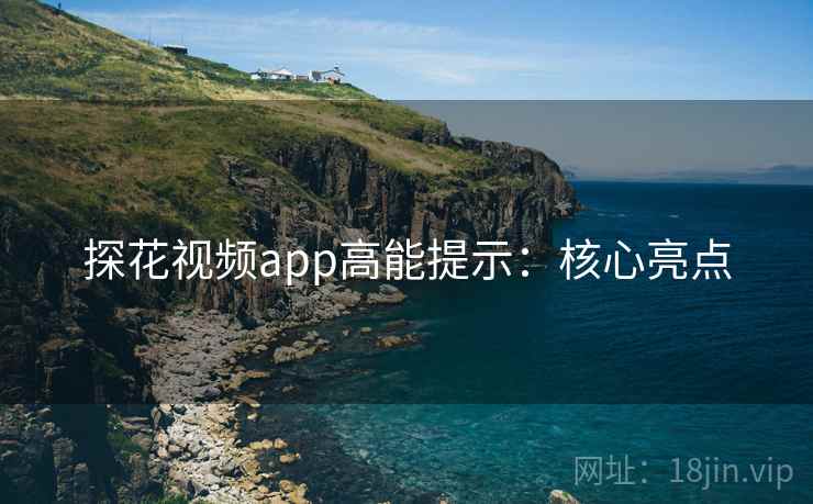 探花视频app高能提示：核心亮点