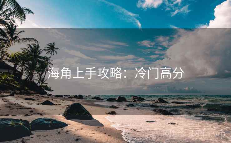 海角上手攻略：冷门高分