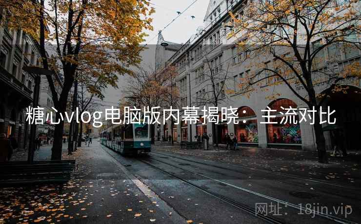糖心vlog电脑版内幕揭晓：主流对比