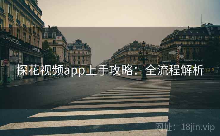 探花视频app上手攻略：全流程解析