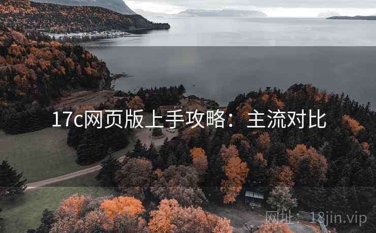 17c网页版上手攻略：主流对比