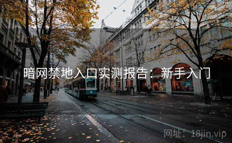暗网禁地入口实测报告：新手入门